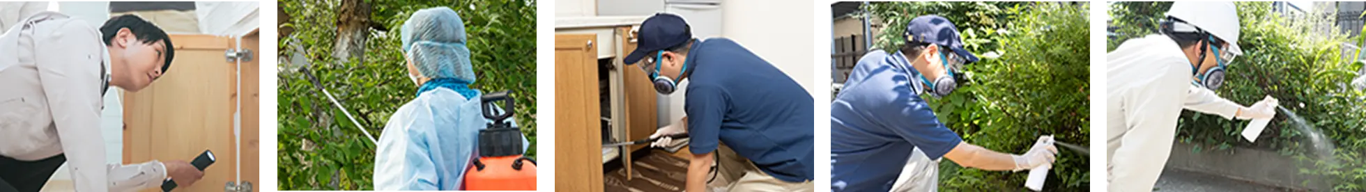 害虫駆除する様子