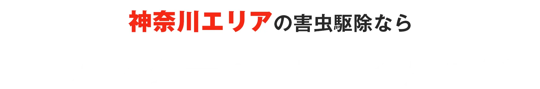 神奈川エリアの害虫駆除なら害虫バスターへご相談ください！