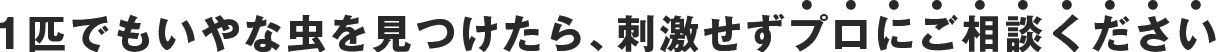 1匹でもいやな虫を見つけたら、刺激せずプロにご相談ください