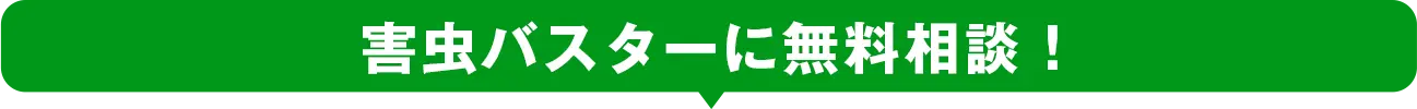 害虫バスターに無料相談！