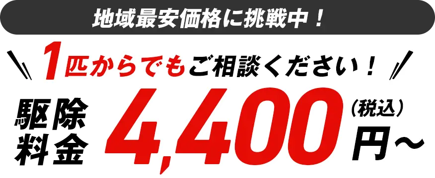 地域最安価格に挑戦中！1匹からでもご相談ください！駆除料金4,400（税込）円〜