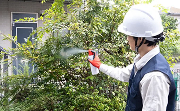 害虫駆除の様子