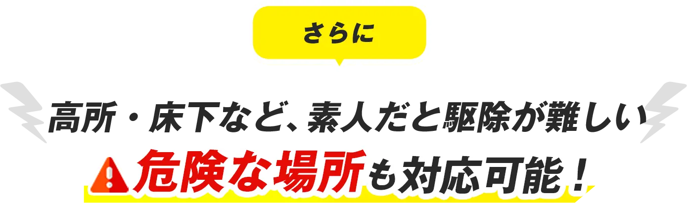 さらに高所・床下など、素人だと駆除が難しい危険な場所も対応可能！