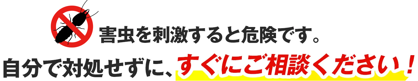 害虫を刺激すると危険です。自分で対処せずに、すぐにご相談ください！