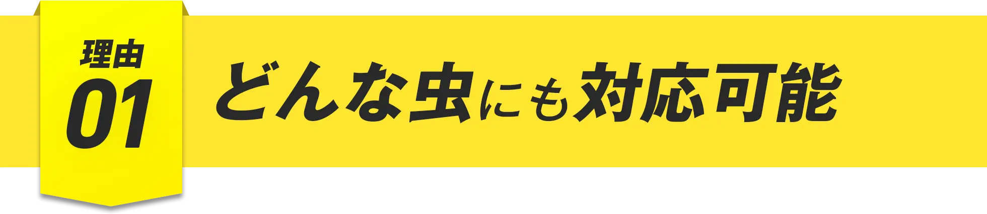 理由01 どんな虫にも対応可能